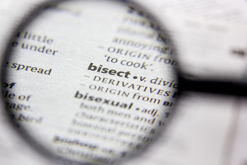 Word or phrase Bisect in a dictionary.