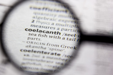 Word or phrase Coelacanth in a dictionary.
