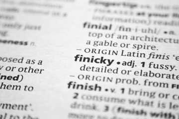 Word or phrase Finicky in a dictionary.