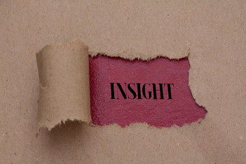 The word Insight appearing behind torn brown paper.