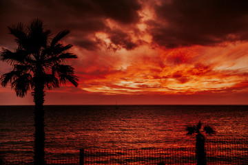 Red Clouds 2