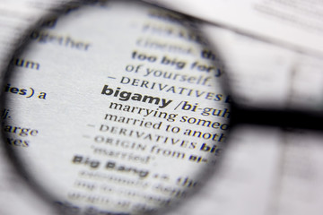 Word or phrase Bigamy in a dictionary.