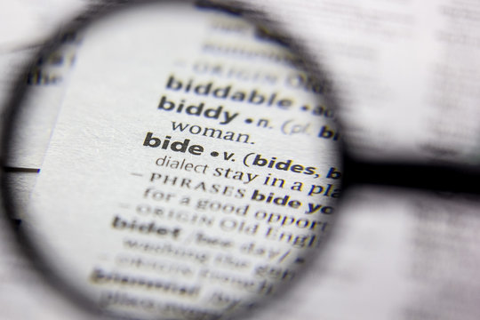 Word or phrase Bide in a dictionary.
