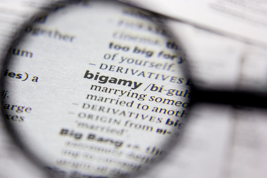Word or phrase Bigamy in a dictionary.