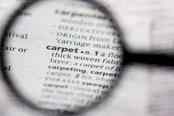Word or phrase Carpet in a dictionary.