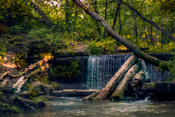 forest waterfall