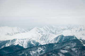 Obraz premium landscape mountains forest and snow