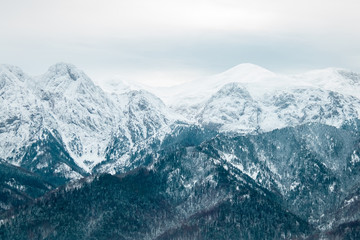 Fototapeta na wymiar landscape mountains forest and snow