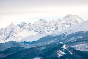 Fototapeta na wymiar landscape mountains forest and snow