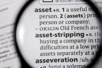 The word or phrase asset-stripping in a dictionary.