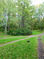 path in park
