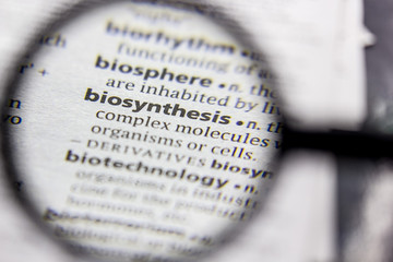 Word or phrase Biosynthesis in a dictionary.