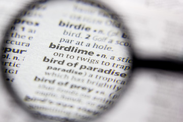 Word or phrase Birdlime in a dictionary.