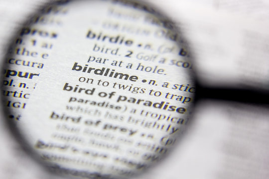 Birdlime Billeder – Gennemse 2,025 stockfotos, vektorer og videoer ...