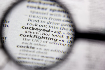 Word or phrase Cockeyed in a dictionary.
