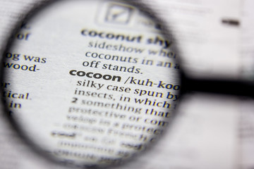 Word or phrase Cocoon in a dictionary.