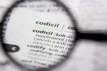 Word or phrase Codicil in a dictionary.