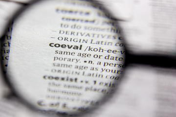 Word or phrase Coeval in a dictionary.