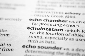 Word or phrase Echolocation in a dictionary.