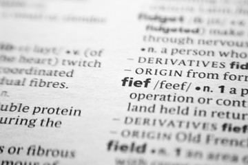 Fototapeta premium Word or phrase Fief in a dictionary.