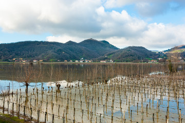 The devastating effects of a flood