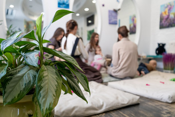 Green plant in the foreground. Moms and kids sit on the floor and play in a room in the morning. 