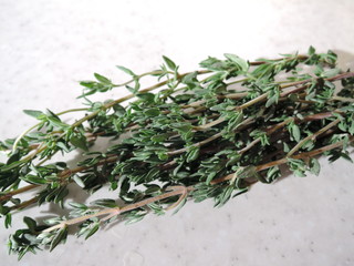 Thyme isolated on white background.