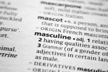 Word or phrase Masculine in a dictionary.