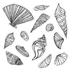 Summer set with shells, raps. Hand-made graphics of marine themes, treasures of the ocean, sea. beautiful shells of different shapes. Coloring set for children isolate white. For the design of packagi - 314667780