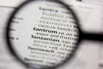 Word or phrase Tantrum in a dictionary.