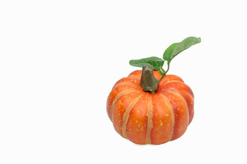 One pumpkin on a white scene