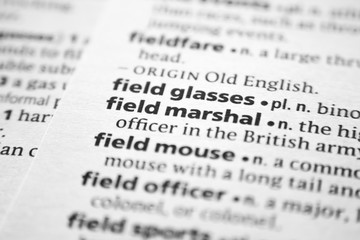 Fototapeta premium Word or phrase Field marshal in a dictionary.