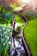 Beautiful river in magic country forest garden. With amazing sun light background. Charming botanical green cut grass and flowers.