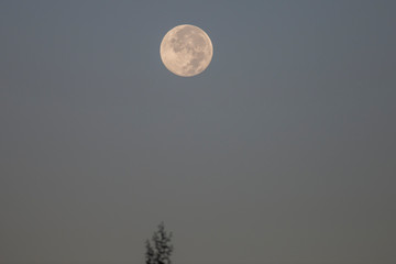 full moon in the night sky © daniel