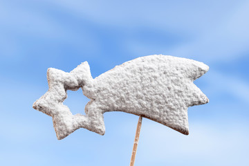 Romantic sugared cookie in a shape of comet on a toothpick with sky background © Martina