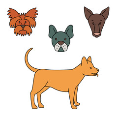 Breeds of dogs set black and white. Vector illustration doodles