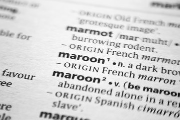 Word or phrase Maroon in a dictionary.