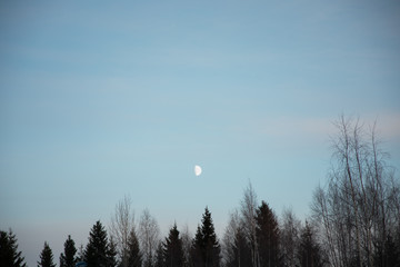 北欧の空と月と森