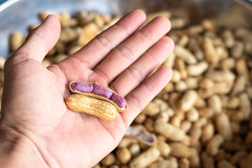 Peanuts are plants that have high nutritional value. And is a source of protein and energy