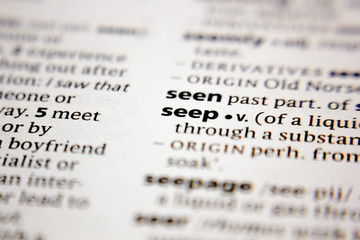 Word or phrase seep in a dictionary.