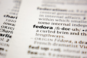 Word or phrase fedora in a dictionary.