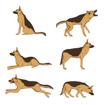 Vector Set of Cartoon German Shepherd Dogs