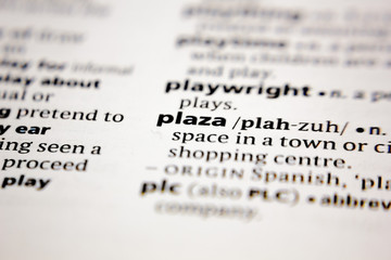 Word or phrase plaza in a dictionary.