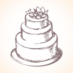Big tasty cake. Vector drawing