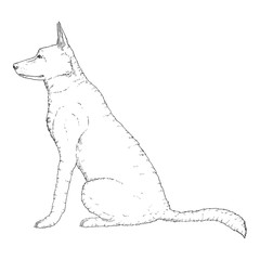 Vector Sketch Sitting German Shepherd Dog