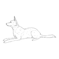 Vector Sketch Lying German Shepherd Dog