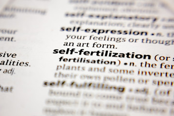 Word or phrase self-fertilization in a dictionary.