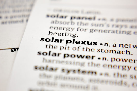 Word or phrase solar plexus in a dictionary.