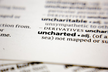 Word or phrase uncharted in a dictionary.
