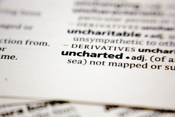 Word or phrase uncharted in a dictionary.